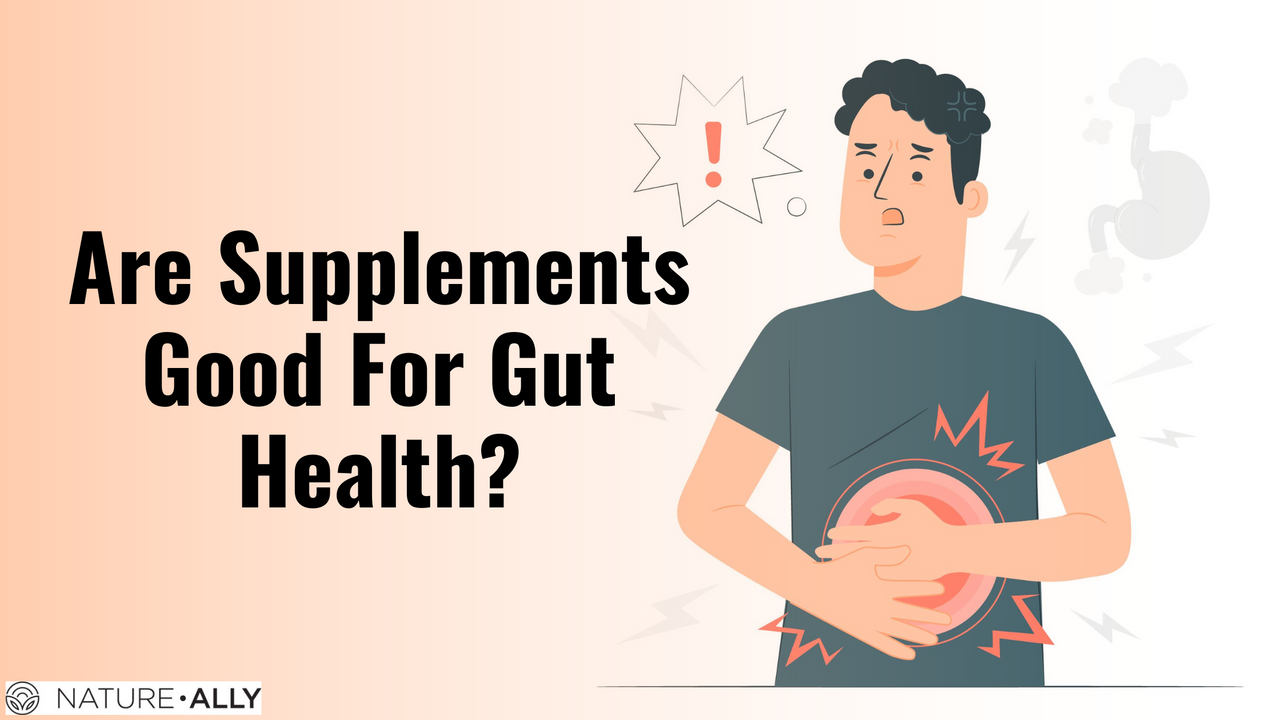 Are Supplements Good For Gut Health ? – natureally.in